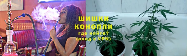 дживик Надым