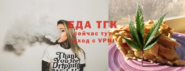 дживик Надым