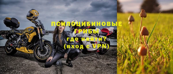дживик Надым