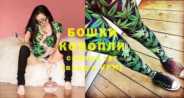 молекула духа Навашино