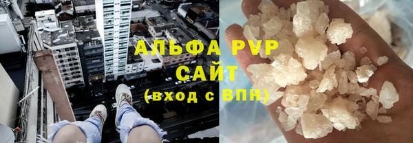 дживик Надым