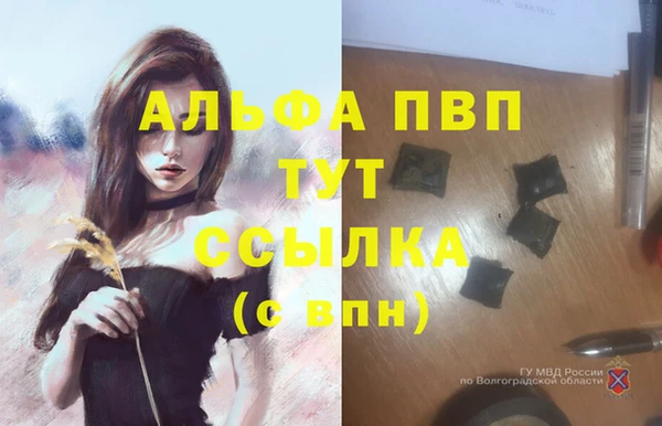 дживик Надым