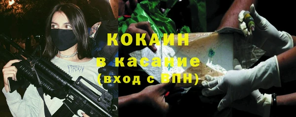 дживик Надым