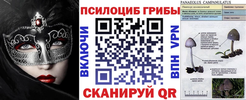 Купить где  Можайск  Галлюциногенные грибы Magic Shrooms 